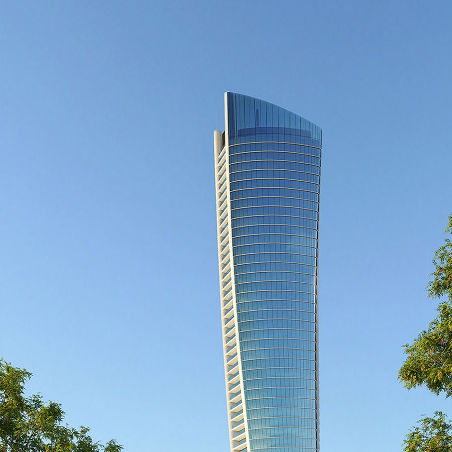 view from the park on a glass skyscraper